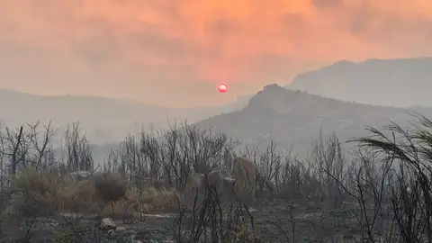 Incendio Forestal Ourense Incendio Forestal Ourense
