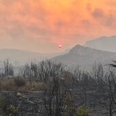Incendio Forestal Ourense