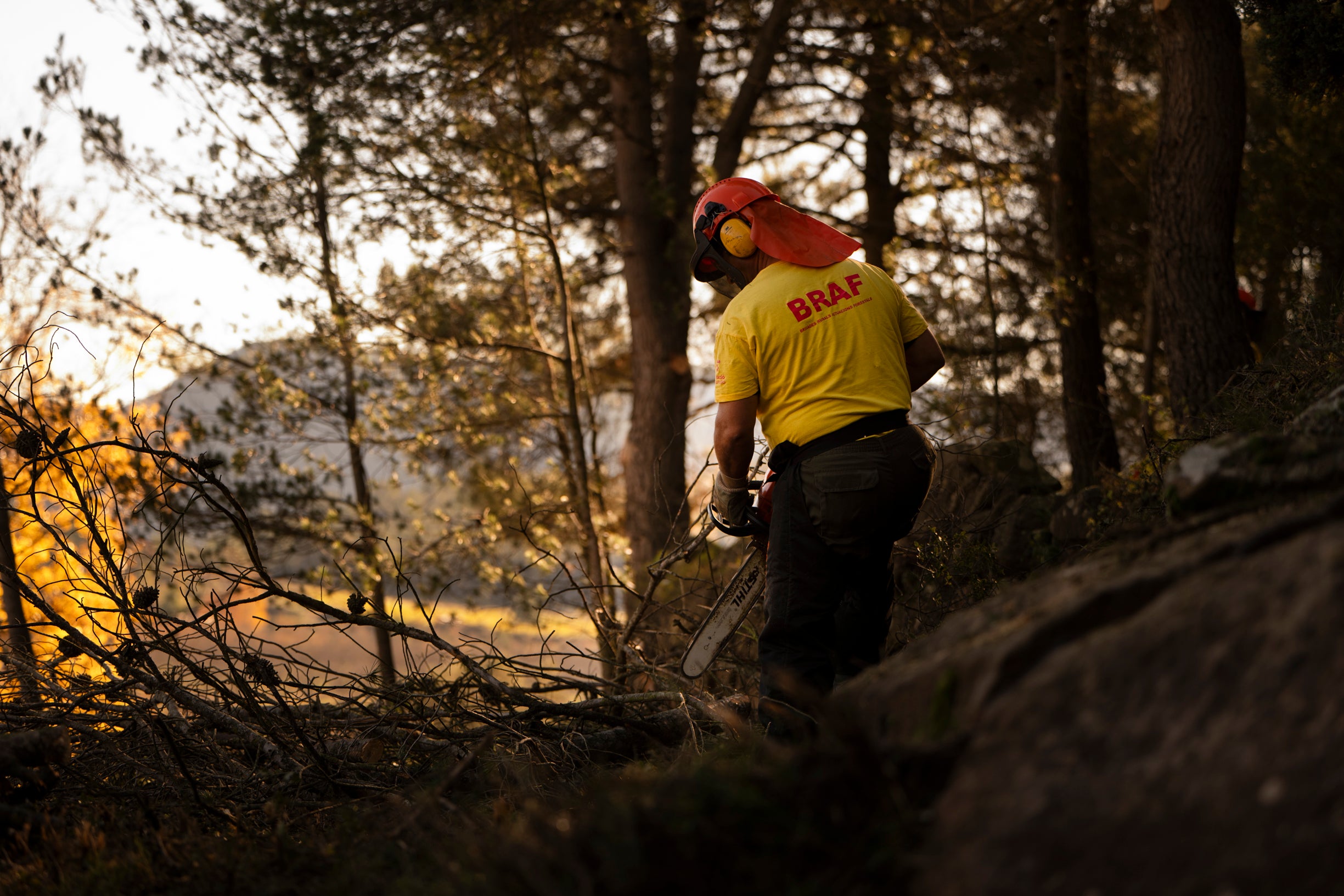 Las Brigadas Rurales de Actuación Forestal de la Diputación, claves en la prevención de incendios en la provincia Las Brigadas Rurales de Actuación Forestal de la Diputación, claves en la prevención de incendios en la provincia