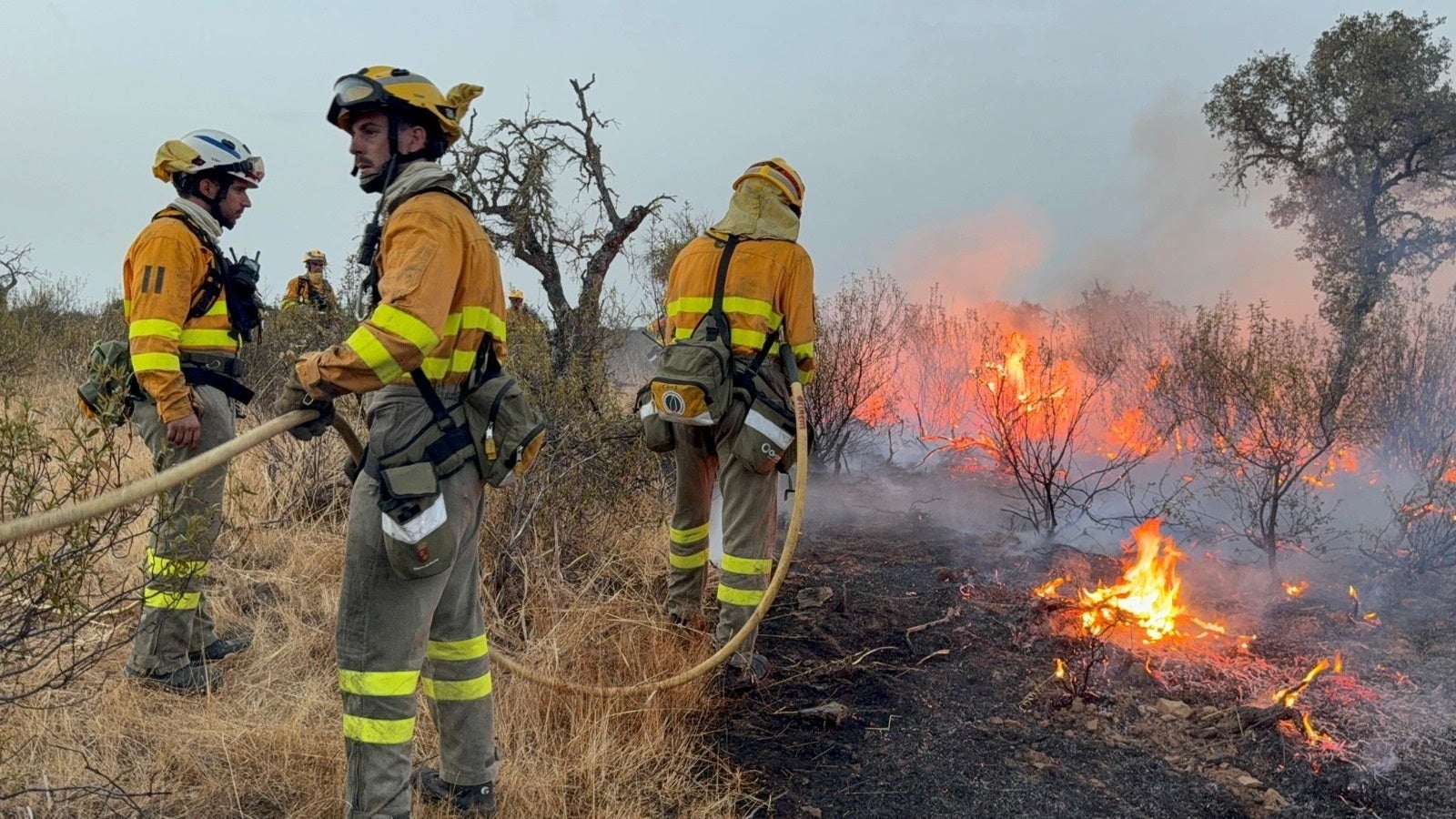 El precio psicológico y emocional de los bomberos: la otra cara de los incendios El precio psicológico y emocional de los bomberos: la otra cara de los incendios