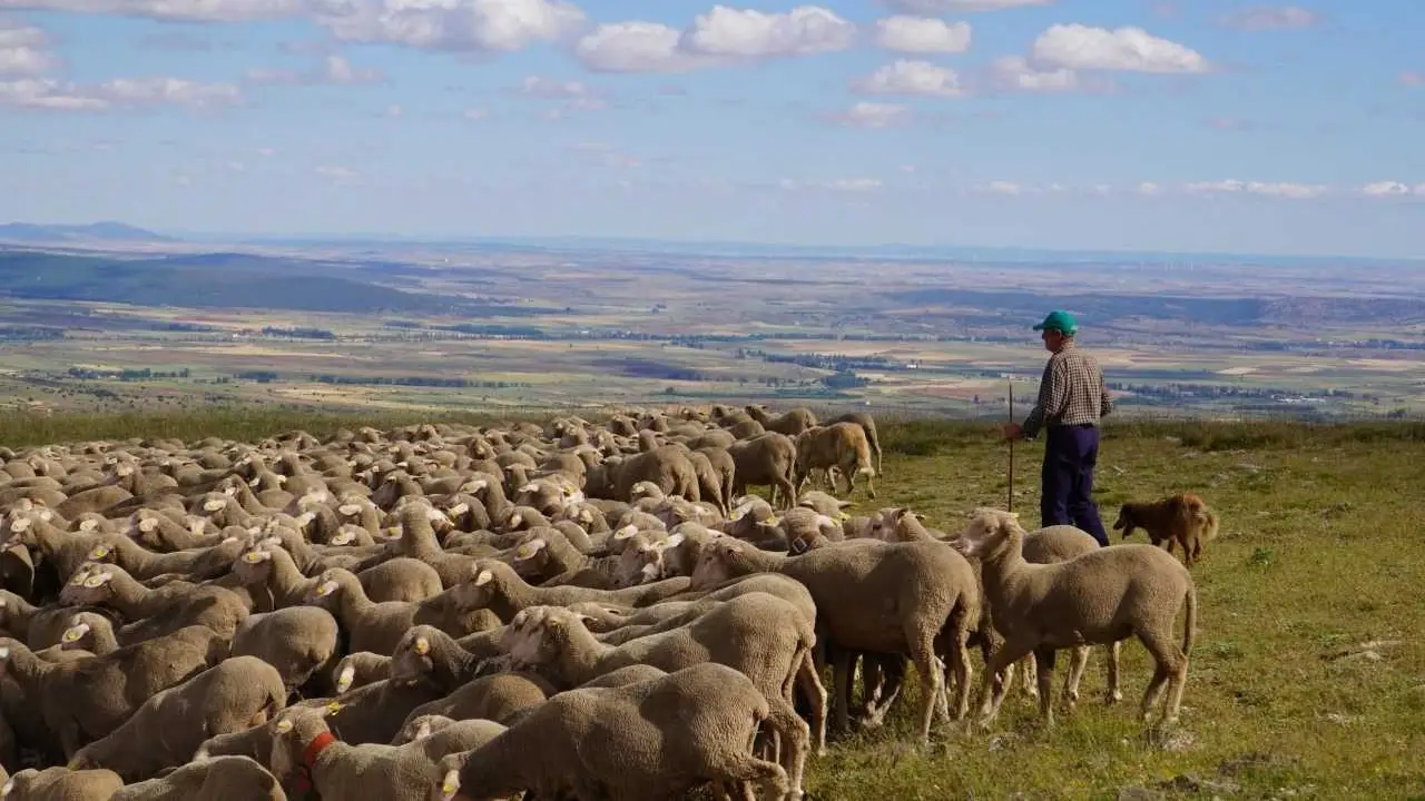 Santa Cruz de Yanguas, un enclave histórico en las Tierras Altas de Soria