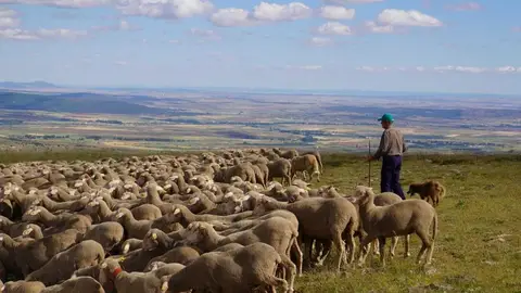 Celebración de la Trashumancia en las Tierras Altas de Soria Celebración de la Trashumancia en las Tierras Altas de Soria