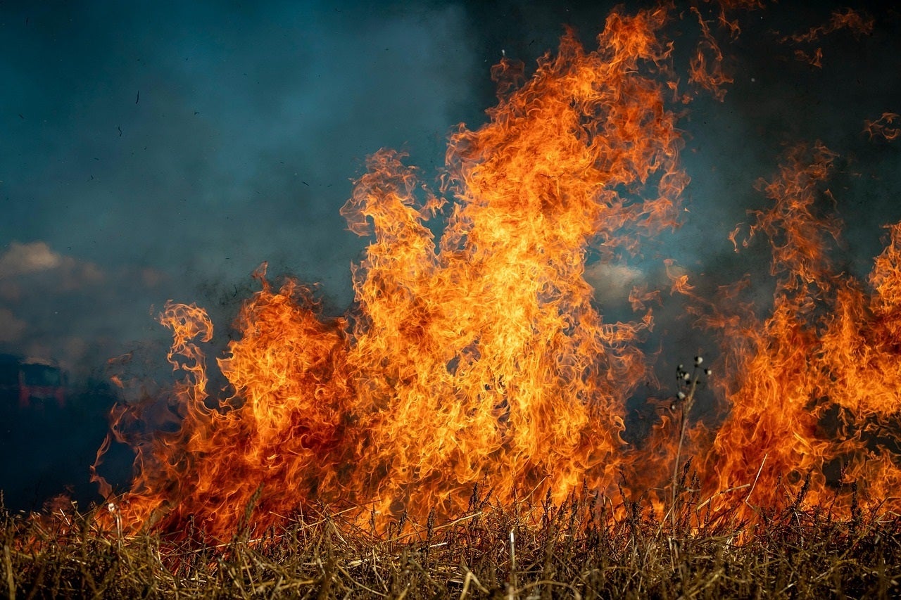 La factura de los incendios: miles de hectáreas calcinadas y un coste económico que supera los 500 millones La factura de los incendios: miles de hectáreas calcinadas y un coste económico que supera los 500 millones
