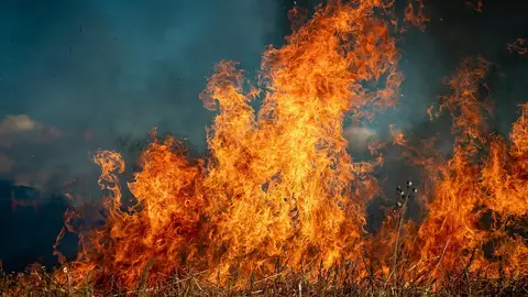 La factura de los incendios: miles de hectáreas calcinadas y un coste económico que supera los 500 millones