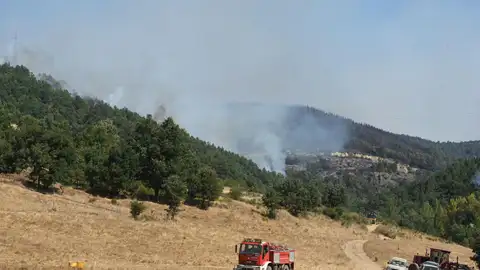 Todas las comunidades que el Gobierno declarará como zona catastrófica: esto es lo que supone Todas las comunidades que el Gobierno declarará como zona catastrófica: esto es lo que supone