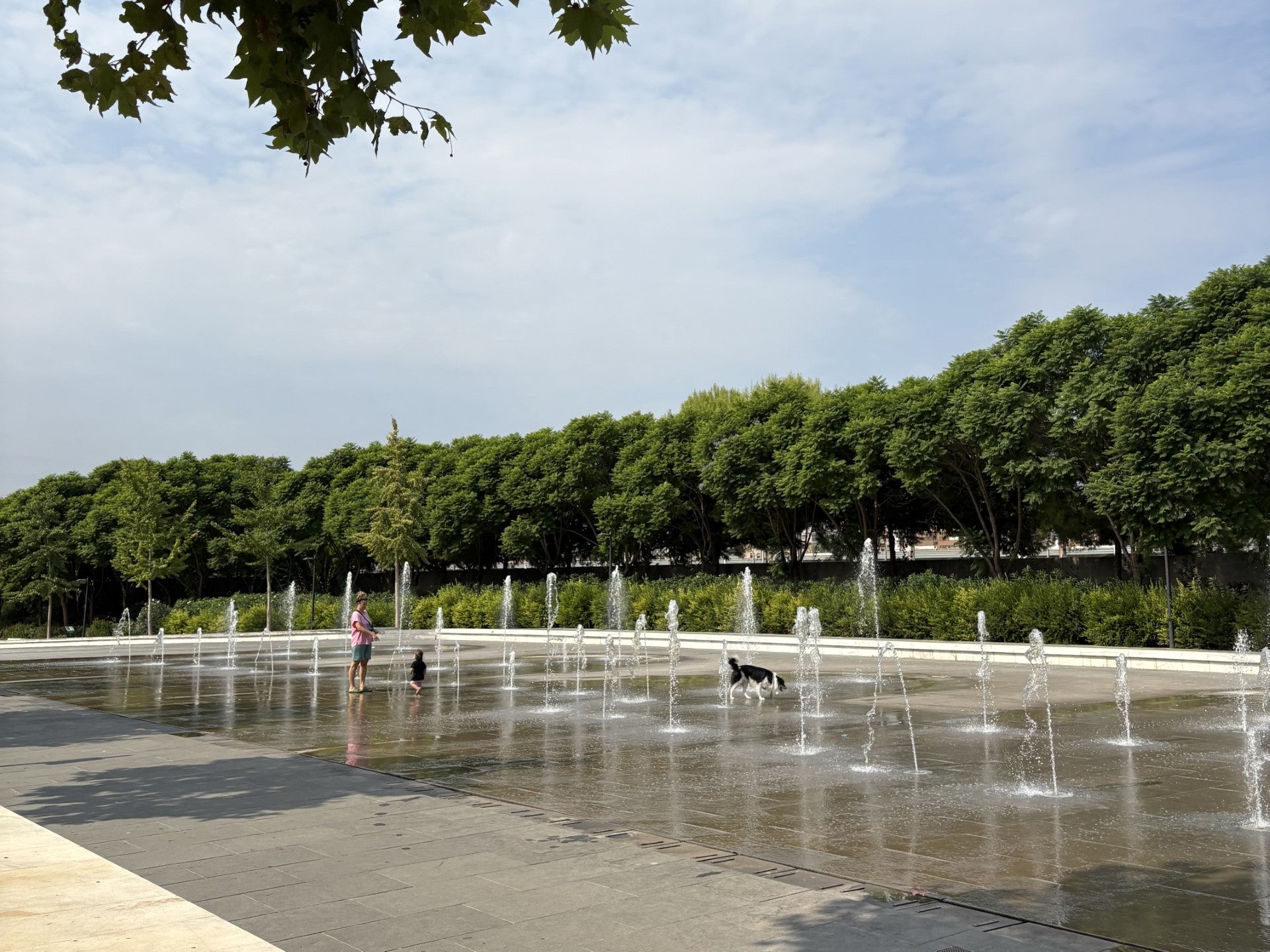 ¿Puedo bañarme en una fuente? En el Parque Central de Valencia sí ¿Puedo bañarme en una fuente? En el Parque Central de Valencia sí