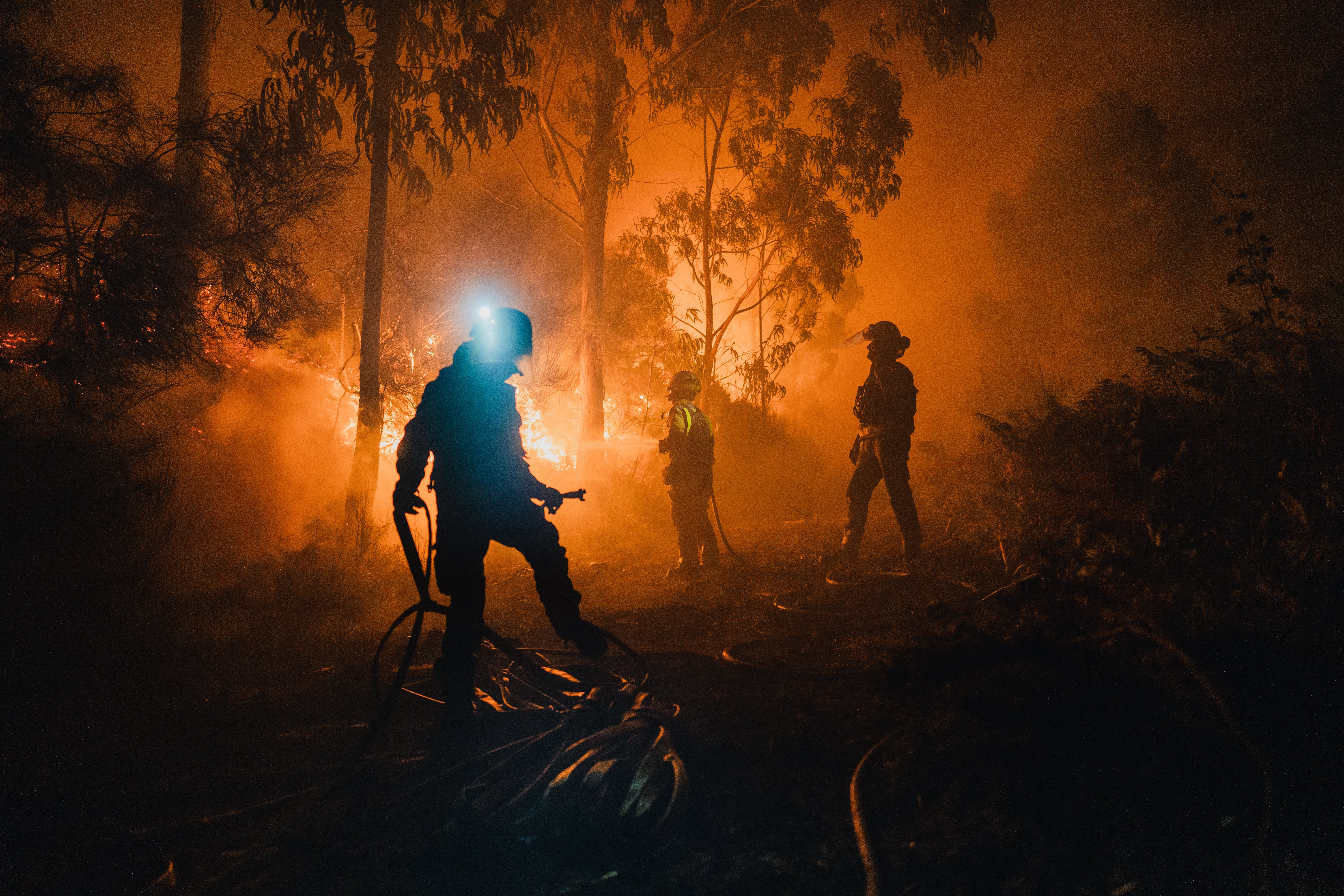 Claves de la peor ola de incendios de la historia: por qué ha habido tantos y por qué siempre en las mismas zonas Claves de la peor ola de incendios de la historia: por qué ha habido tantos y por qué siempre en las mismas zonas