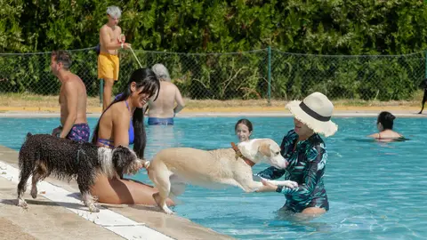 Patas al Agua celebra su VIII edición y espera congregar a doscientas personas y medio centenar de perros en la piscina del Guadiana Patas al Agua celebra su VIII edición y espera congregar a doscientas personas y medio centenar de perros en la piscina del Guadiana