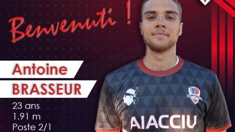 Brasseur
