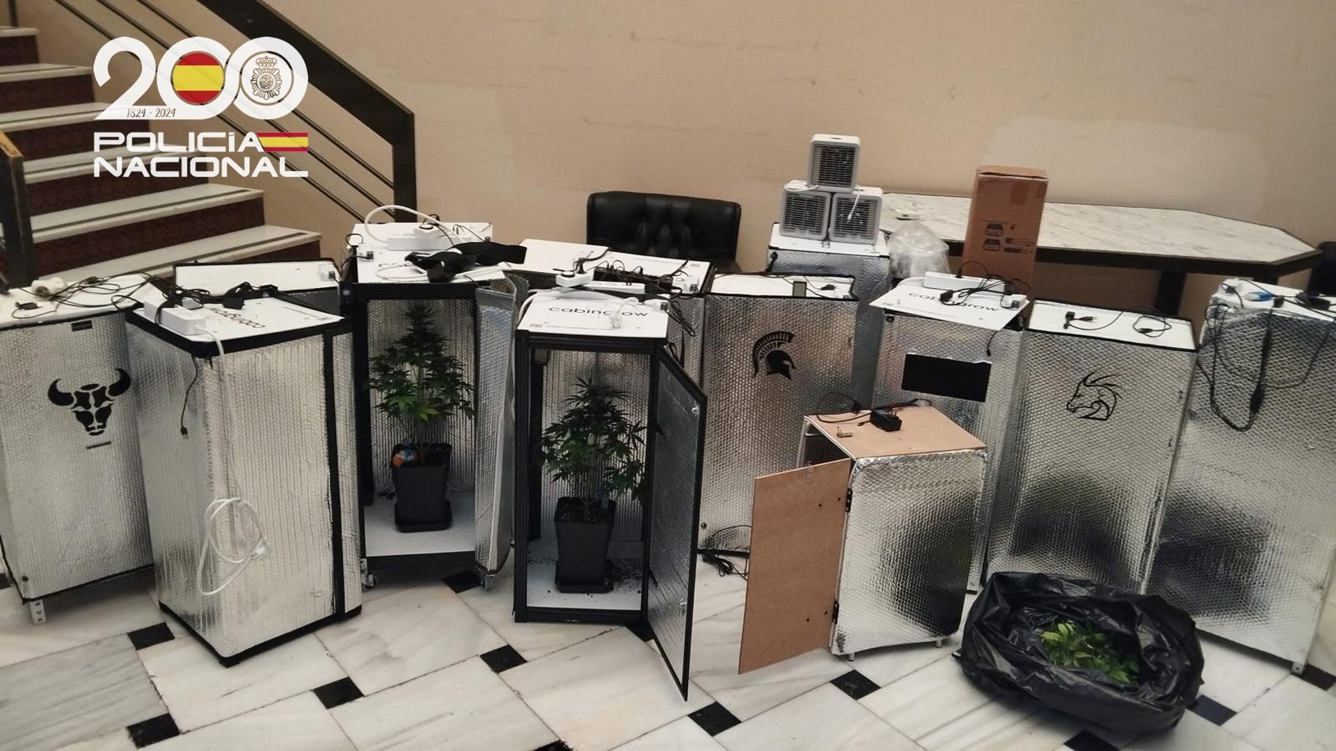 Dos detenidos en Morón tras la intervención de 16 plantas de marihuana cultivadas en armarios caseros Dos detenidos en Morón tras la intervención de 16 plantas de marihuana cultivadas en armarios caseros