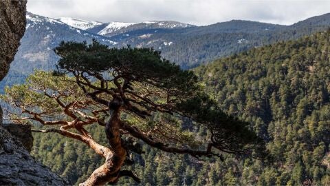 Parque Nacional de la Sierra de Guadarrama Parque Nacional de la Sierra de Guadarrama