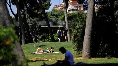 Imagen del Jardín del Río Túria de València en un día de agosto de 2025 Imagen del Jardín del Río Túria de València en un día de agosto de 2025