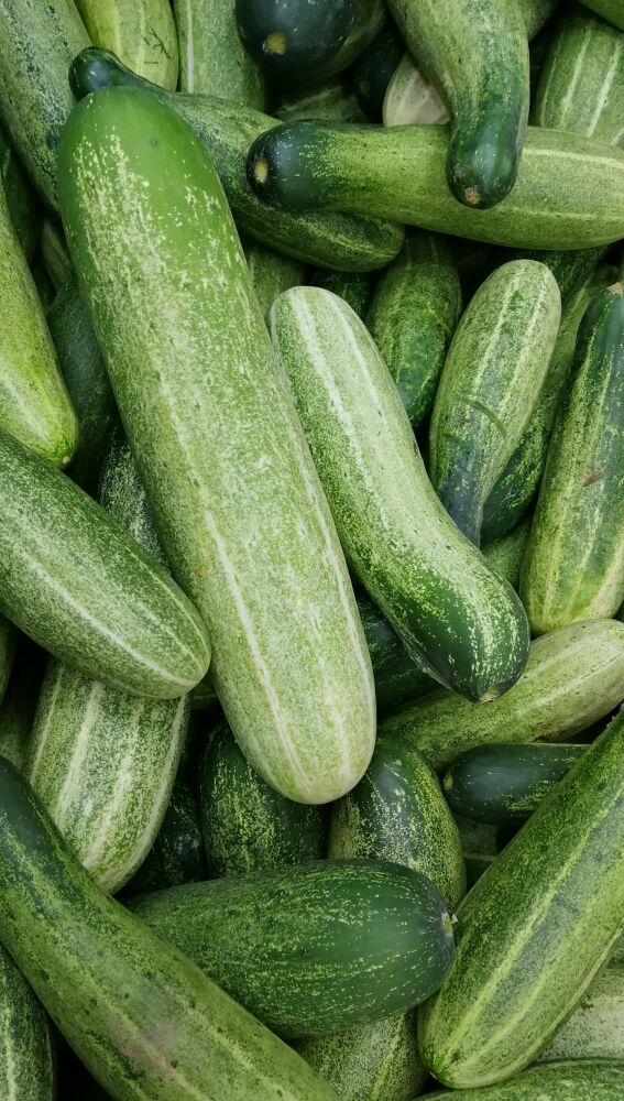 Las 10 frutas con más agua que pueden hidratar más que el agua