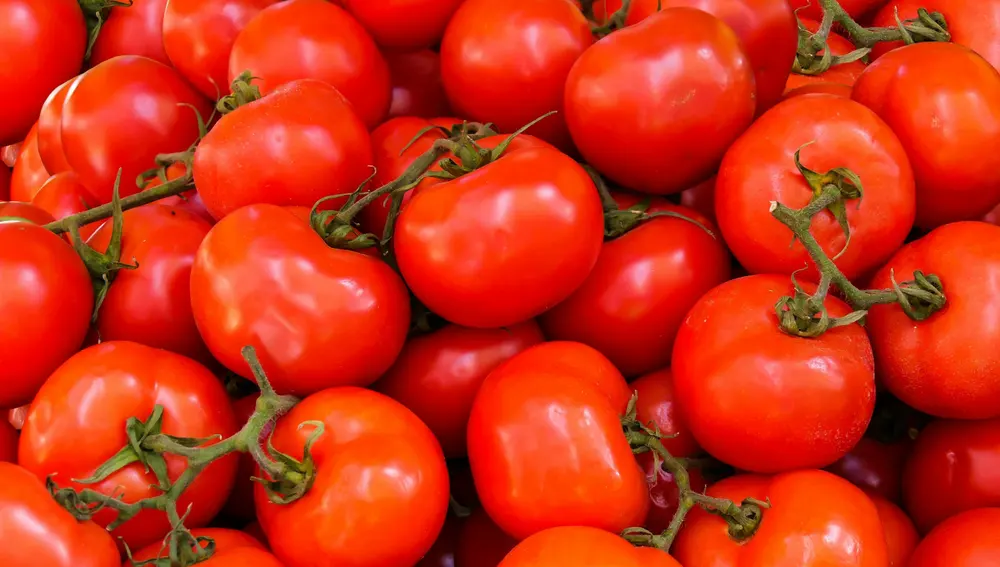 Os 10 frutos que têm mais água e podem hidratar mais do que água Os 10 frutos que têm mais água e podem hidratar mais do que água