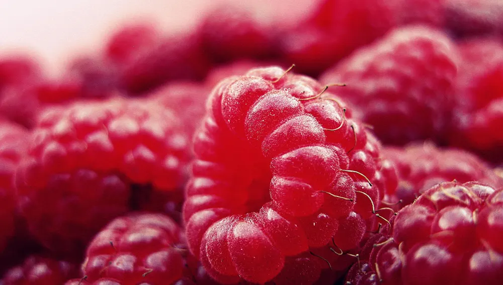 Os 10 frutos que têm mais água e podem hidratar mais do que água Os 10 frutos que têm mais água e podem hidratar mais do que água