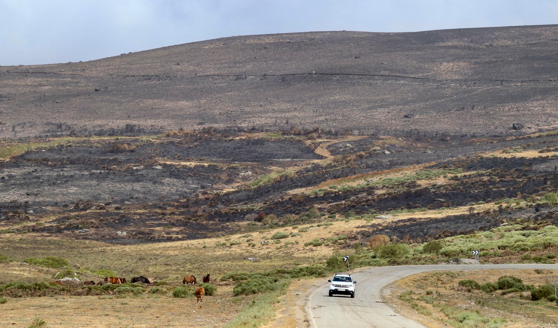 Castilla y León llega al sábado sin ninguna población evacuada ni confinada después de tres semanas de incendios Castilla y León llega al sábado sin ninguna población evacuada ni confinada después de tres semanas de incendios