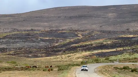 Castilla y León llega al sábado sin ninguna población evacuada ni confinada después de tres semanas de incendios