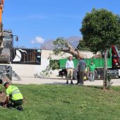Benidorm refuerza el mantenimiento de zonas verdes y arbolado