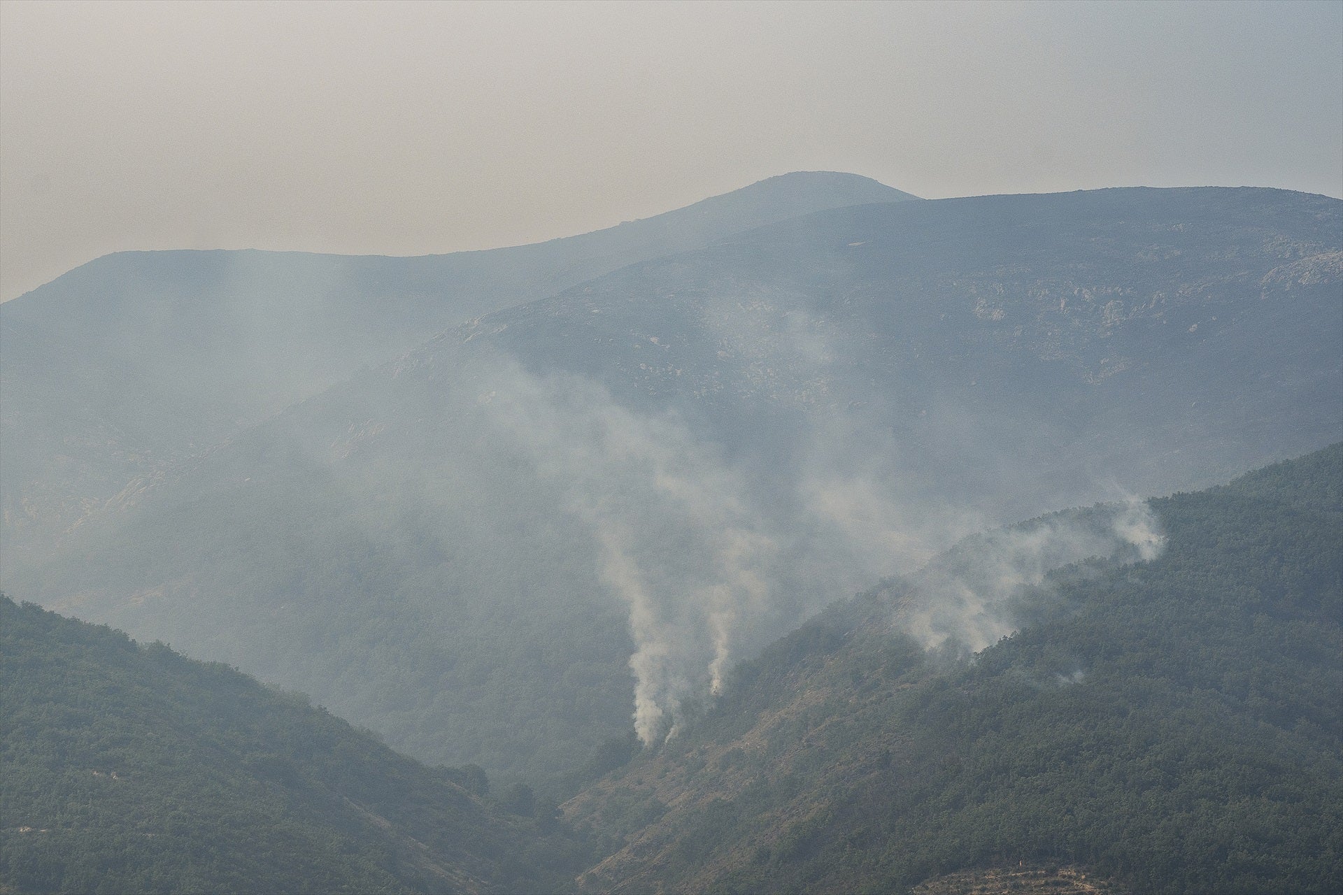 Los ganaderos reclaman más flexibilidad de las administraciones para los afectados por el fuego: "La normativa debe reponder a las necesidades reales" Los ganaderos reclaman más flexibilidad de las administraciones para los afectados por el fuego: "La normativa debe reponder a las necesidades reales"