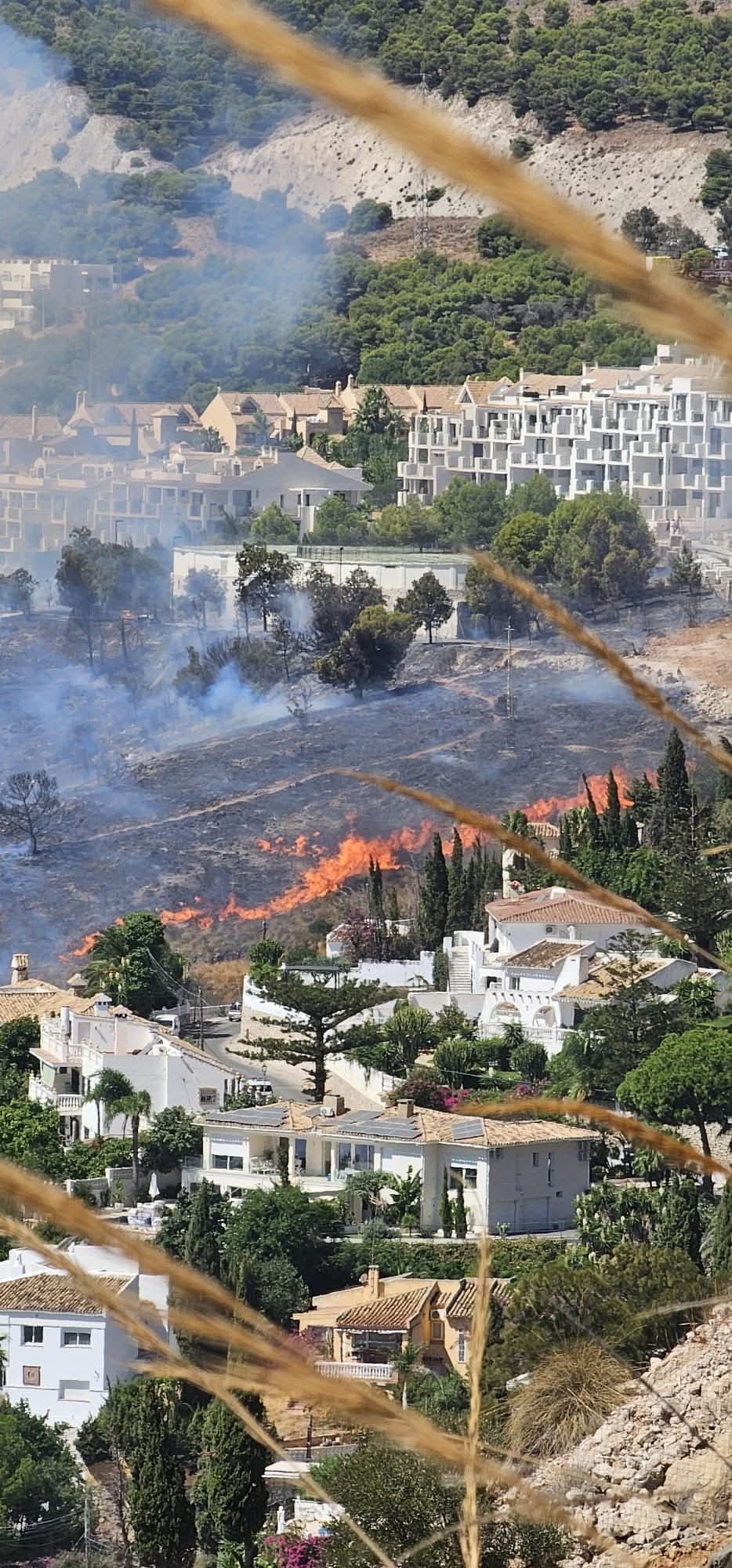 Un incendio forestal afecta a la zona de Santángelo Oeste en Benalmádena Un incendio forestal afecta a la zona de Santángelo Oeste en Benalmádena