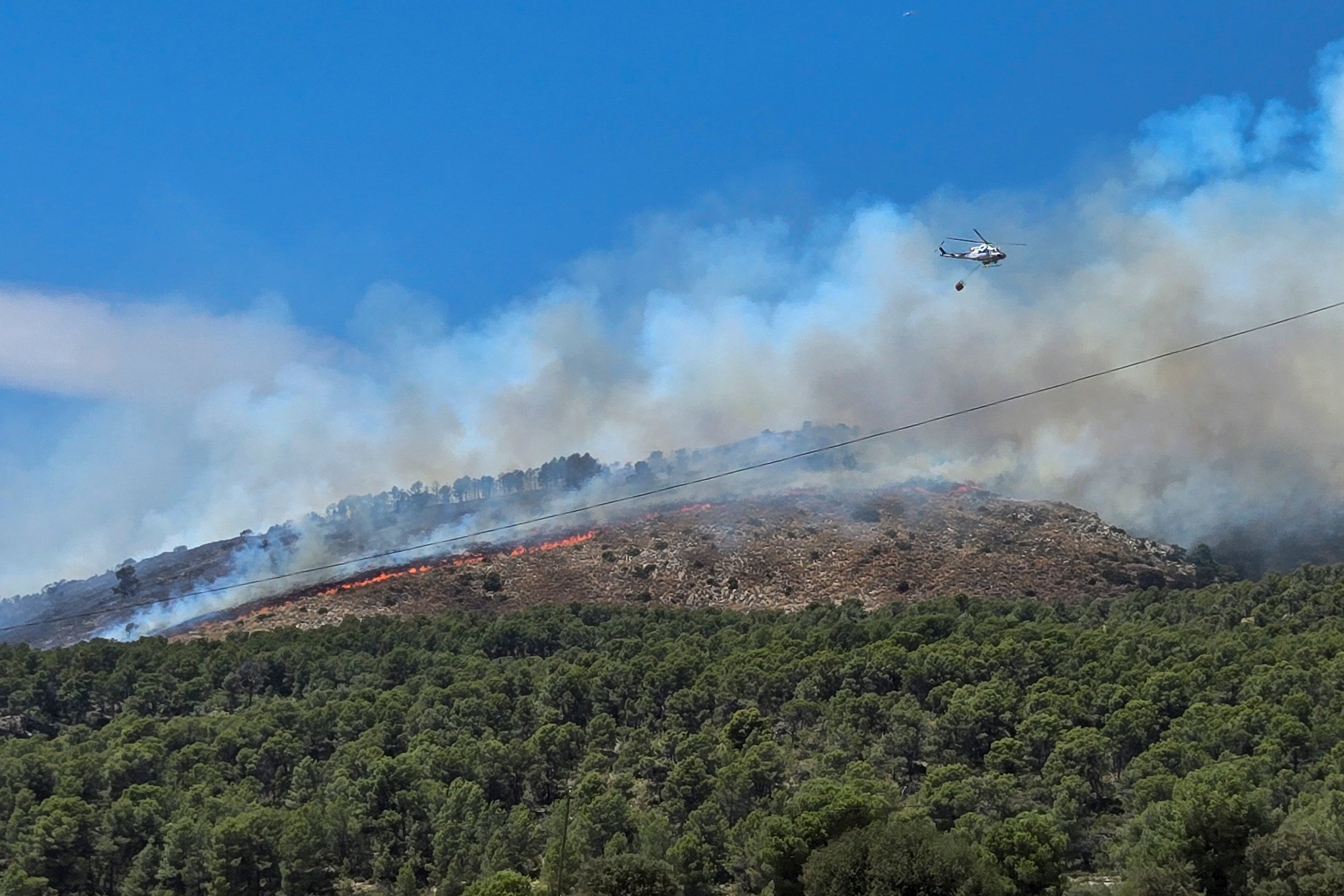 La Comunitat ha sufrido 216 incendios forestales, con 740 hectáreas quemadas La Comunitat ha sufrido 216 incendios forestales, con 740 hectáreas quemadas