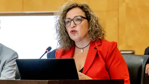El PSOE de Benidorm pide la dimisión de Lourdes Caselles por su inactividad durante años ante el ‘premio hotelero’ El PSOE de Benidorm pide la dimisión de Lourdes Caselles por su inactividad durante años ante el ‘premio hotelero’