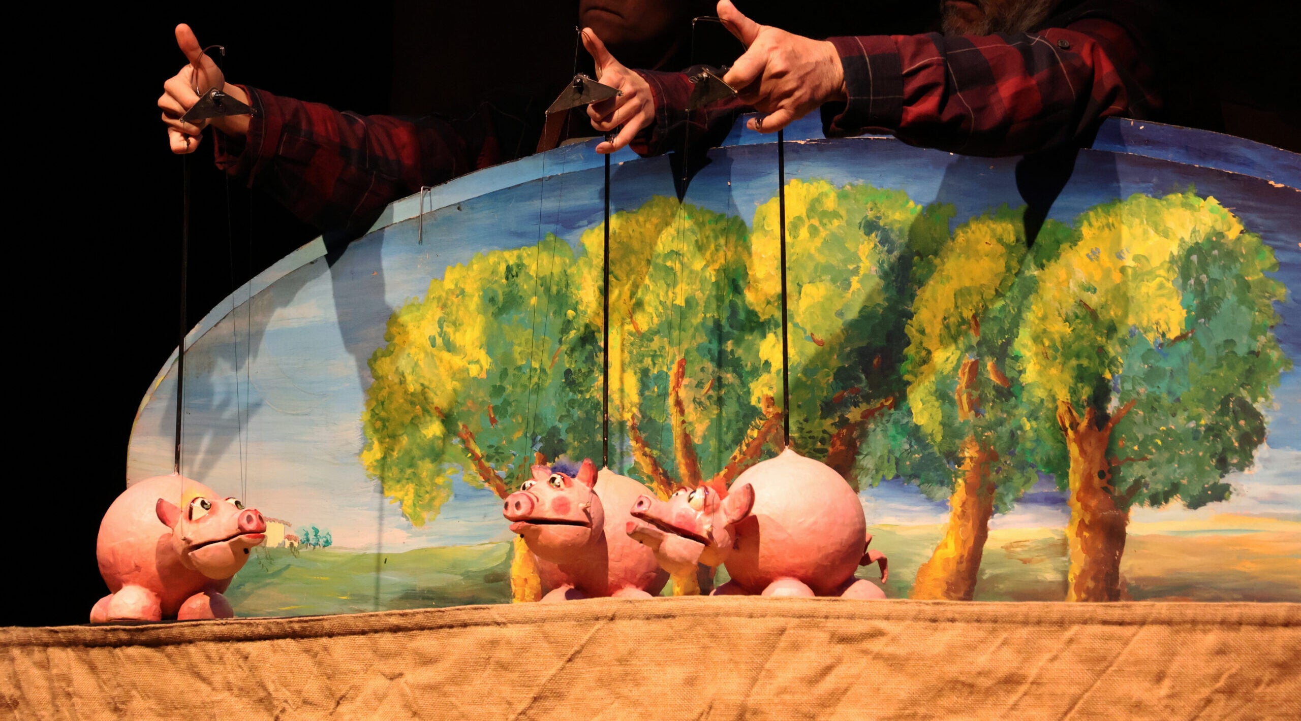 El Teatro Arbolé de Zaragoza arrancará temporada este domingo El Teatro Arbolé de Zaragoza arrancará temporada este domingo