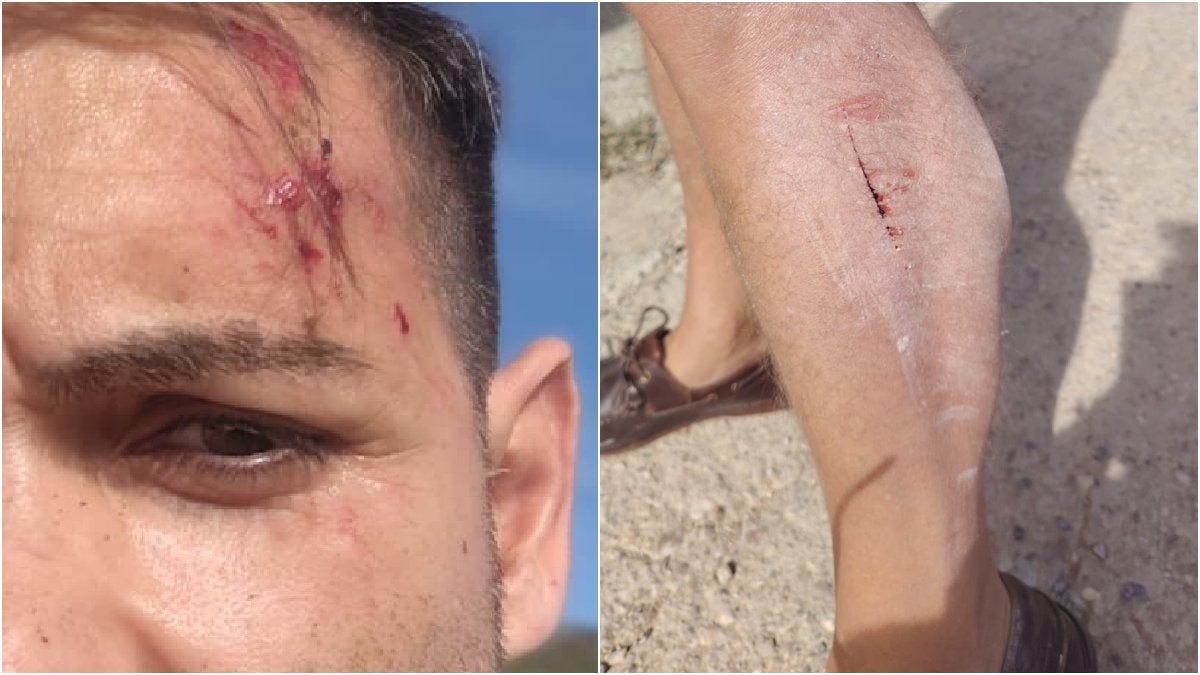 Dos pastores agreden a un equipo de À Punt mientras cubría la fuga de vacas bravas en Alcalà de Xivert Dos pastores agreden a un equipo de À Punt mientras cubría la fuga de vacas bravas en Alcalà de Xivert