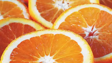 Alimentación Alimentación