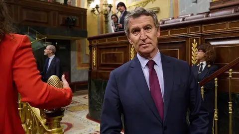 Alberto Núñez Feijóo en el Congreso de los Diputados Alberto Núñez Feijóo en el Congreso de los Diputados