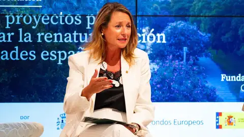 Castelló apuesta por una ciudad verde y sostenible con un ambicioso plan de renaturalización de 3,5 millones Castelló apuesta por una ciudad verde y sostenible con un ambicioso plan de renaturalización de 3,5 millones