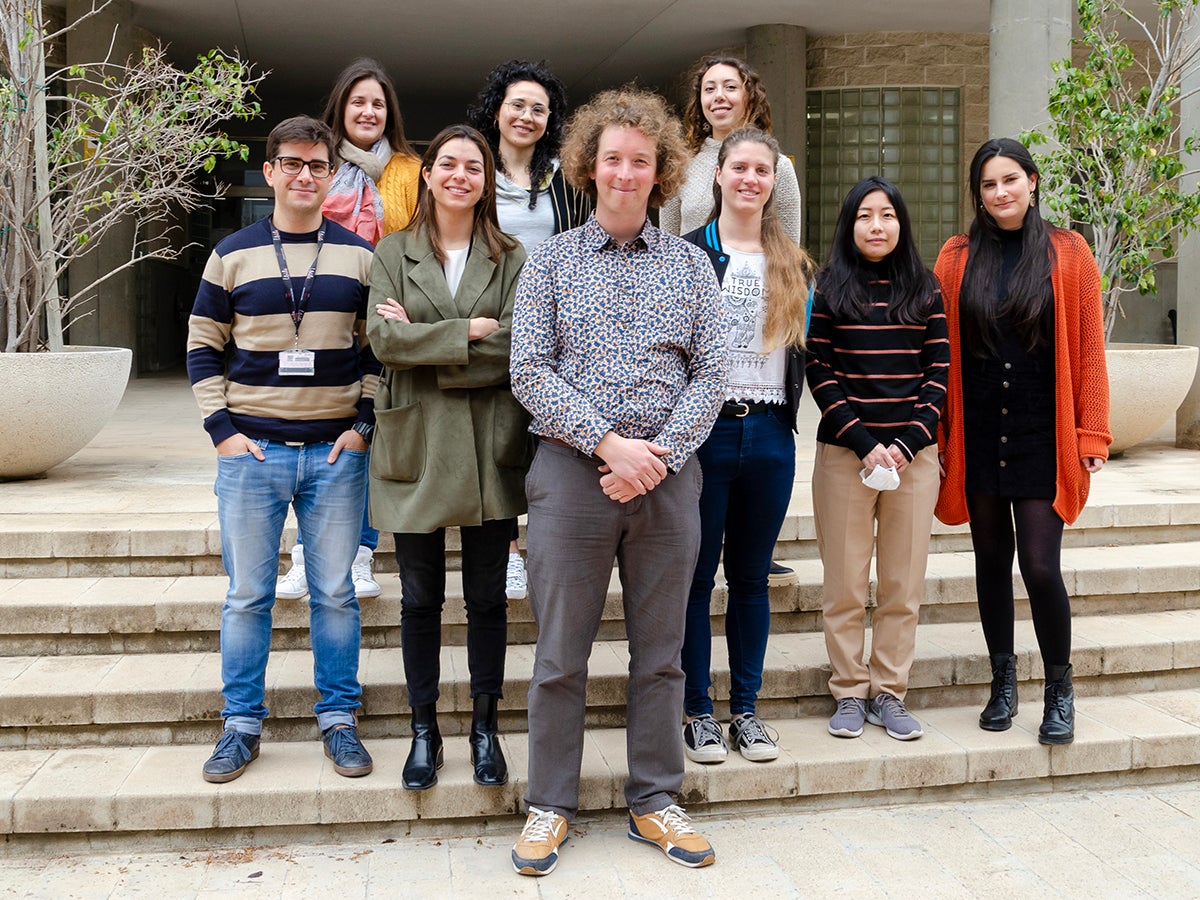 Investigadores de la UMH de Elche revelan que una mutación ligada al autismo reduce niveles de una hormona "clave" en conducta social Investigadores de la UMH de Elche revelan que una mutación ligada al autismo reduce niveles de una hormona "clave" en conducta social