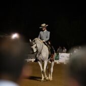 Campeonato de Doma Vaquera de Andalucía en Castro del Río