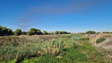 Estado actual del Barranco del Carraixet a su paso por Alboraia Estado actual del Barranco del Carraixet a su paso por Alboraia