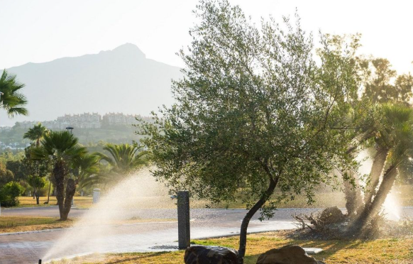 Marbella encuentra un nuevo pozo del que sacar agua para el riego y el baldeo Marbella encuentra un nuevo pozo del que sacar agua para el riego y el baldeo