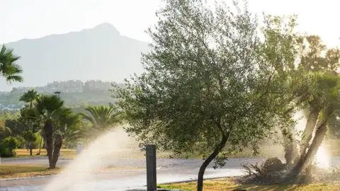 Riego zonas verdes Marbella Riego zonas verdes Marbella