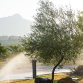 Riego zonas verdes Marbella