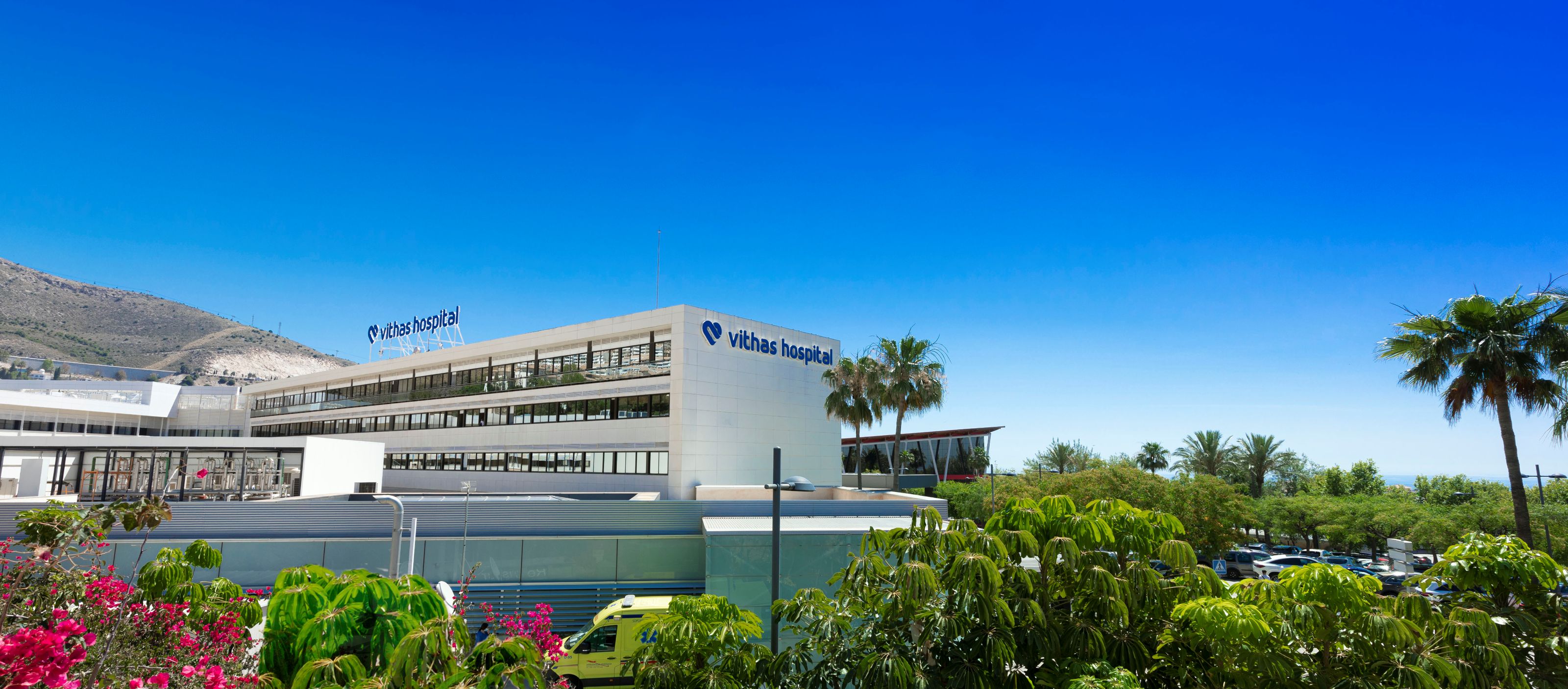 Un tercio de las mujeres son "perdedoras rápidas" de calcio en los primeros años tras la menopausia Un tercio de las mujeres son "perdedoras rápidas" de calcio en los primeros años tras la menopausia