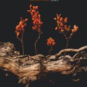 Cartel LXXII Fiestas de la Vendimia y el Vino de Valdepeñas