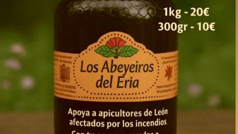Miel procedente de los apicultores de León, afectados por los incendios de agosto Miel procedente de los apicultores de León, afectados por los incendios de agosto