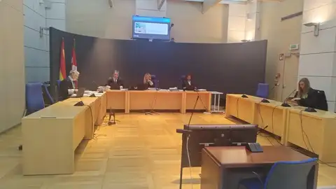 Médicos sostienen que "solo queda la sospecha de un zarandeo" para explicar las hemorragias en el bebé de San Sebastián
