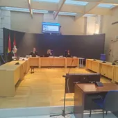 Médicos sostienen que "solo queda la sospecha de un zarandeo" para explicar las hemorragias en el bebé de San Sebastián Médicos sostienen que "solo queda la sospecha de un zarandeo" para explicar las hemorragias en el bebé de San Sebastián