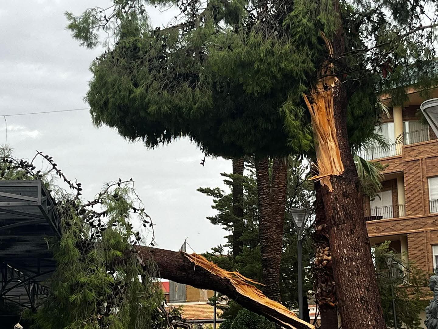 Redován y otras localidades de la Vega Baja recuperan la normalidad tras el reventón húmedo de ayer y pendientes de la alerta naranja Redován y otras localidades de la Vega Baja recuperan la normalidad tras el reventón húmedo de ayer y pendientes de la alerta naranja