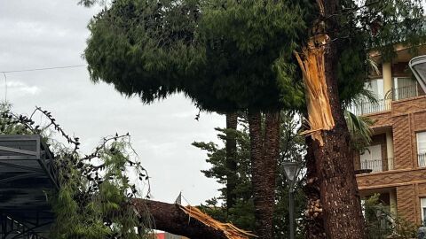 Redov&aacute;n y otras localidades de la Vega Baja recuperan la normalidad tras el el revent&oacute;n h&uacute;medo de ayer y pendientes de la alerta naranja 