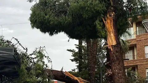 Redován y otras localidades de la Vega Baja recuperan la normalidad tras el el reventón húmedo de ayer y pendientes de la alerta naranja Redován y otras localidades de la Vega Baja recuperan la normalidad tras el el reventón húmedo de ayer y pendientes de la alerta naranja
