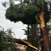 Redován y otras localidades de la Vega Baja recuperan la normalidad tras el el reventón húmedo de ayer y pendientes de la alerta naranja 