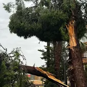 Redován y otras localidades de la Vega Baja recuperan la normalidad tras el el reventón húmedo de ayer y pendientes de la alerta naranja Redován y otras localidades de la Vega Baja recuperan la normalidad tras el el reventón húmedo de ayer y pendientes de la alerta naranja