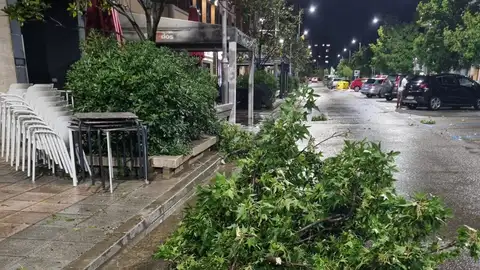 Álgunos árboles y ramas derribados en Binéfar Álgunos árboles y ramas derribados en Binéfar