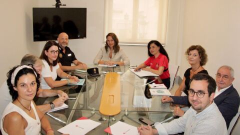 Castell&oacute;n prepara un protocolo que proteja a los m&aacute;s vulnerables en situaciones de emergencia