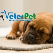 VETERPET